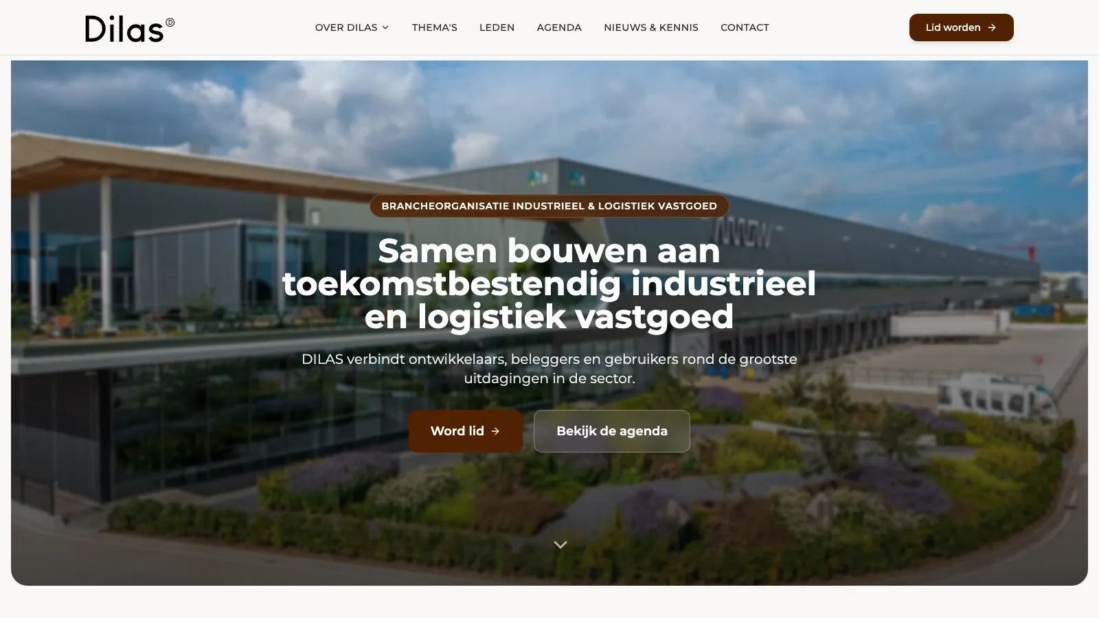 Screenshot van de website dilas.nl